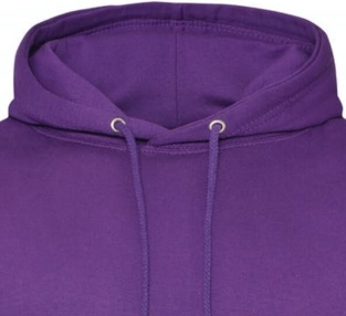 College Hoodie Purple