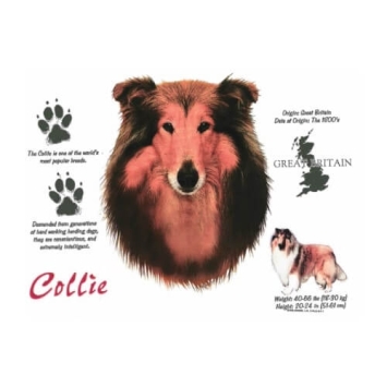 Collie T-shirt