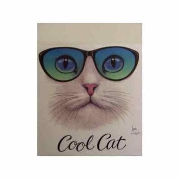 Cool Cat t-shirt