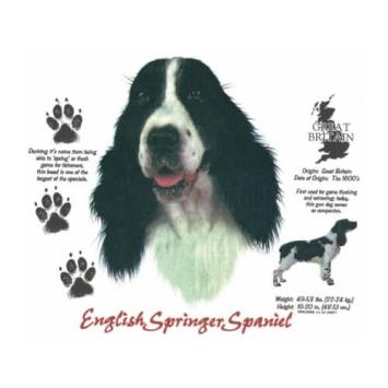 English Springer Spaniel T-shirt