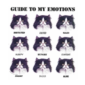 Guide to my Emotions t-shirts