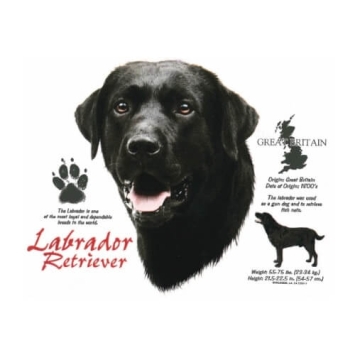 Labrador Retriever t-shirt