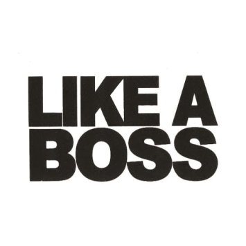 like a boss hoodie