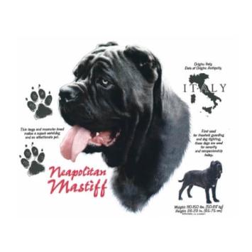 Neapolitan Mastiff t-shirt