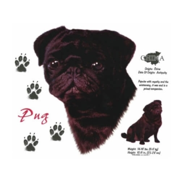 Pug t-shirt