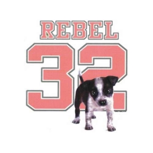 Rebel 32 hoodie.