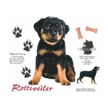 Rottweiler pup t-shirt