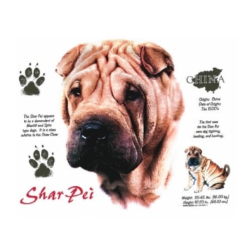 Sharpei t-shirt