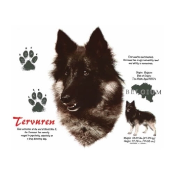 Tervuren t-shirt