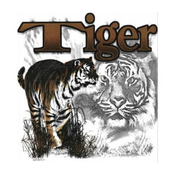 Tijger hoodie