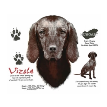 Viszla t-shirt