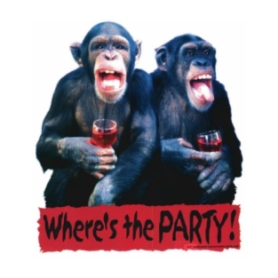 Wheres the party !! t-shirt.