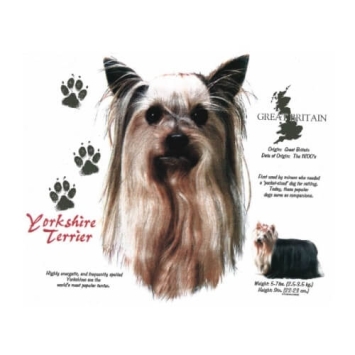 Yorkshire terrier t-shirt